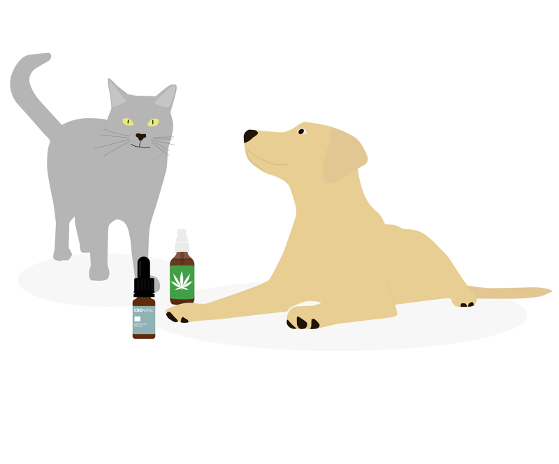CBD Oel Rossmann Tiere
